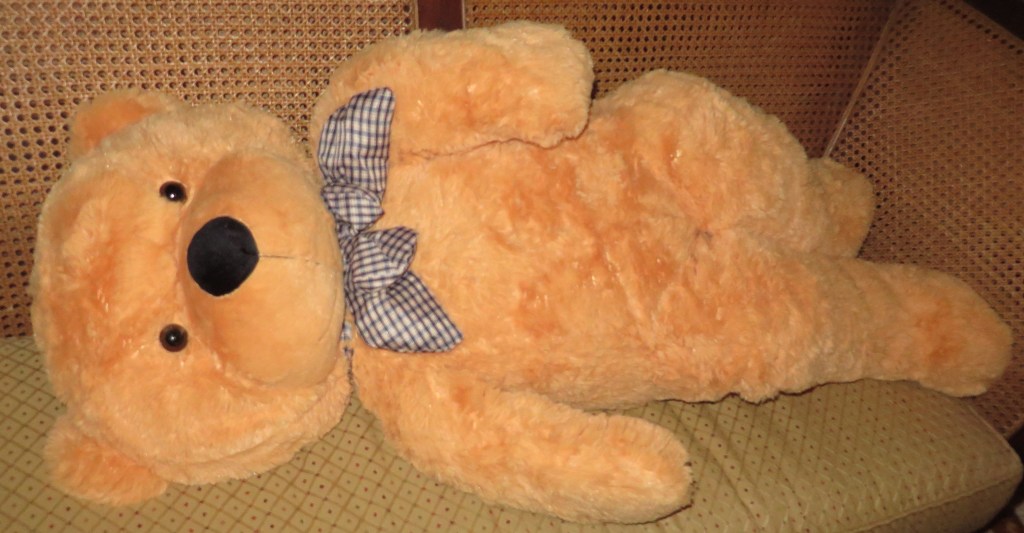 teddy7b