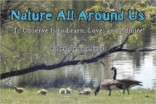 51qgOa7u4BL._SX331_BO1,204,203,200_